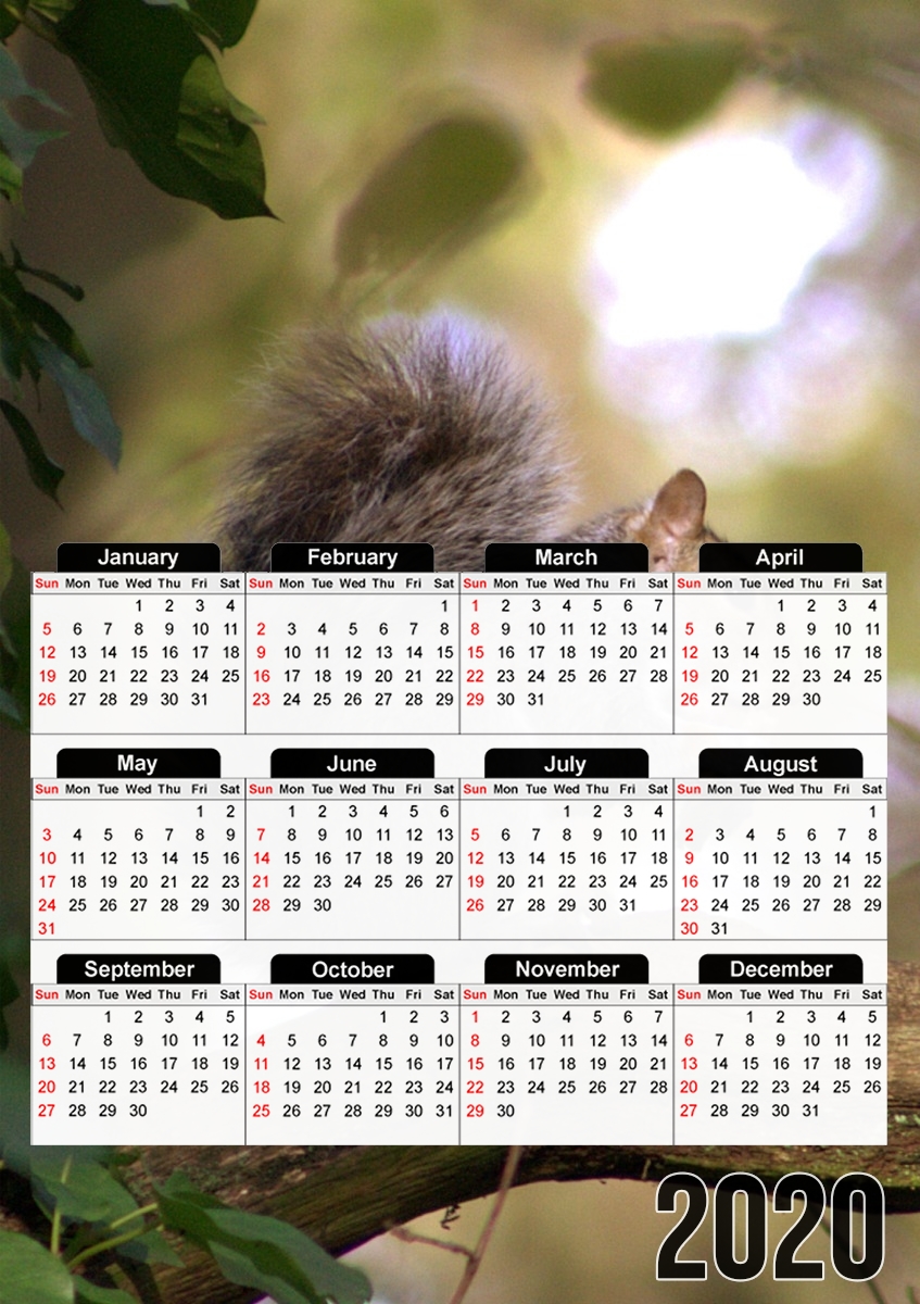  squirrel gentle for A3 Photo Calendar 30x43cm