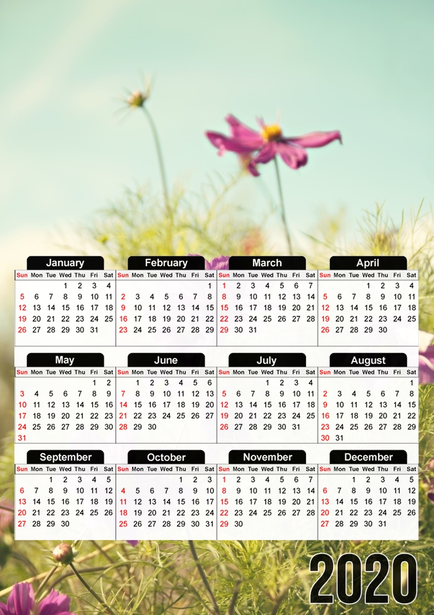  summer cosmos for A3 Photo Calendar 30x43cm