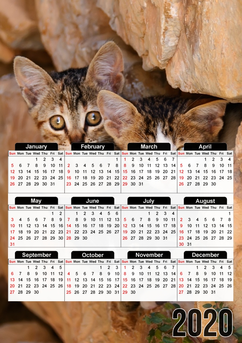  Three cute kittens in a wall hole for A3 Photo Calendar 30x43cm
