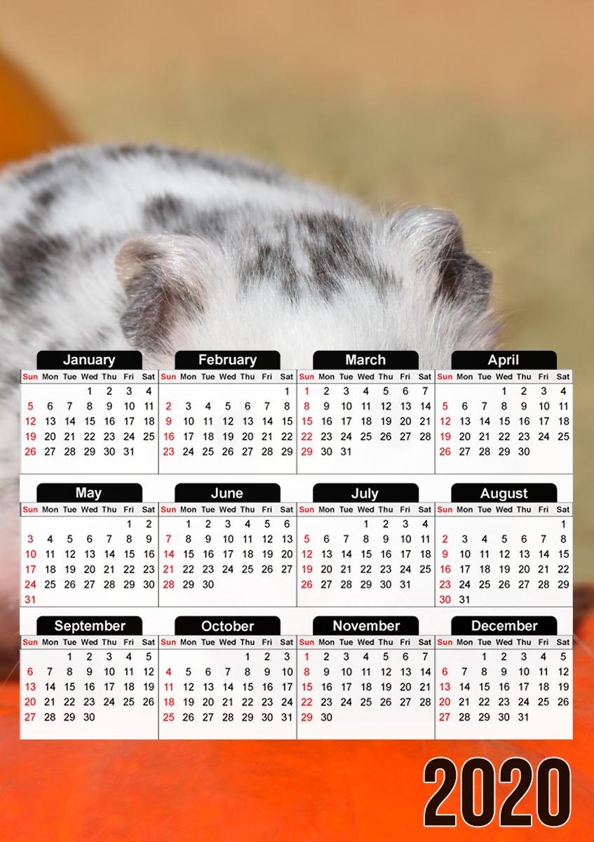  White Dalmatian Hamster with black spots  for A3 Photo Calendar 30x43cm