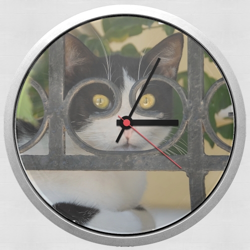  Cat with spectacles frame, she looks through a wrought iron fence for Wall clock