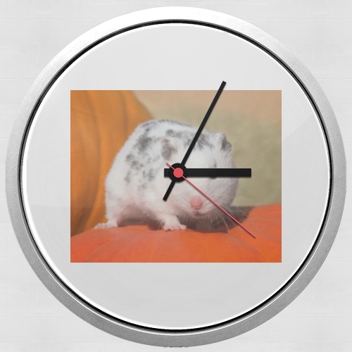  White Dalmatian Hamster with black spots  for Wall clock