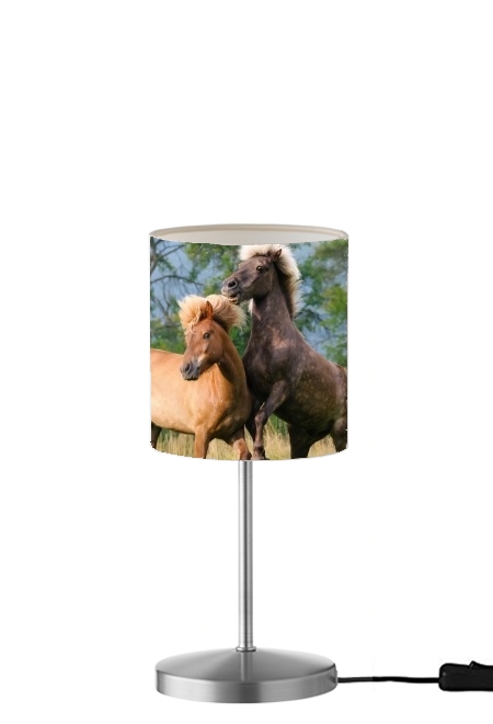  Two Icelandic horses playing, rearing and frolic around in a meadow for Table / bedside lamp