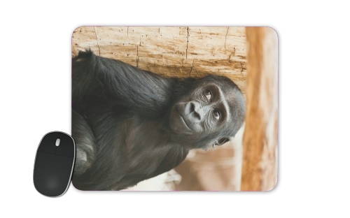  Baby Monkey for Mousepad