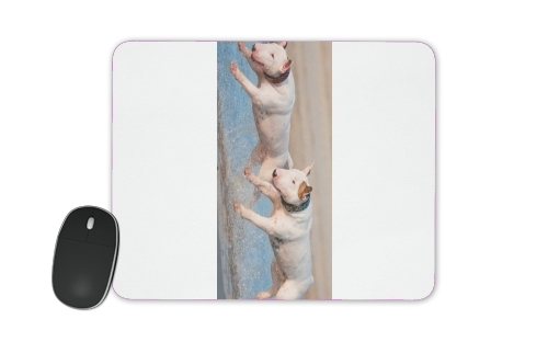  bull terrier Dogs for Mousepad