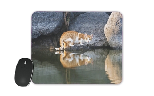  Cat Reflection in Pond Water for Mousepad