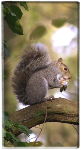  squirrel gentle for Powerbank Universal Emergency External Battery 7000 mAh