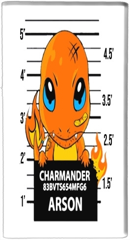  Charmander Jail for Powerbank Micro USB Emergency External Battery 1000mAh