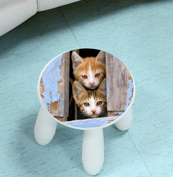  Cute curious kittens in an old window for Stool Children