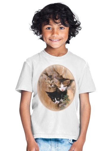  Three cute kittens in a wall hole for Kids T-Shirt