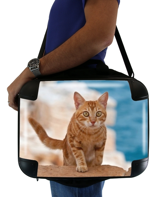  Ginger kitten on a cliff for Laptop briefcase 15" / Notebook / Tablet