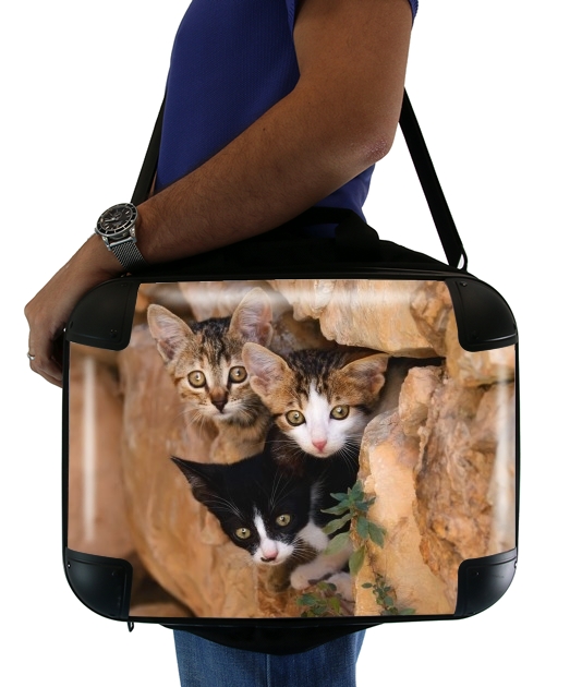  Three cute kittens in a wall hole for Laptop briefcase 15" / Notebook / Tablet