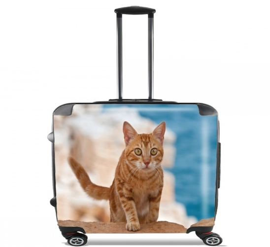  Ginger kitten on a cliff for Wheeled bag cabin luggage suitcase trolley 17" laptop
