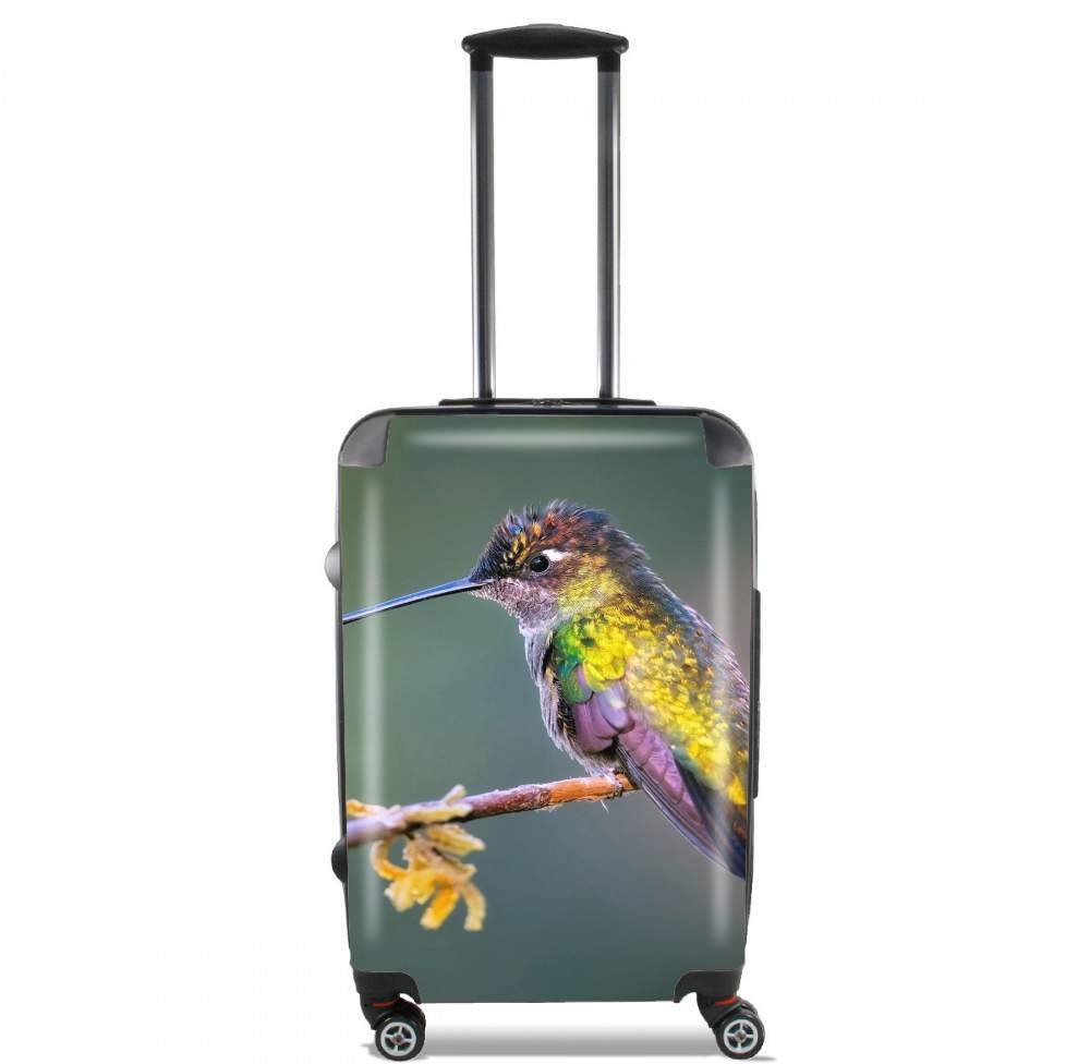  Colobri Birl Colo for Lightweight Hand Luggage Bag - Cabin Baggage